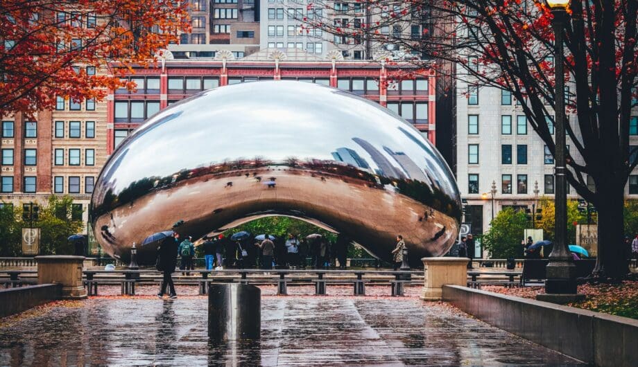 chicago-bean chicago-bean