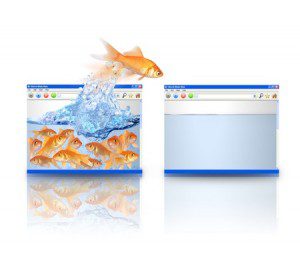 computer-screen-fish