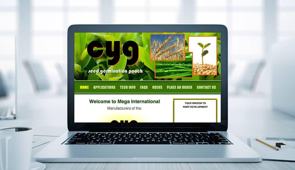 cyg Mega International