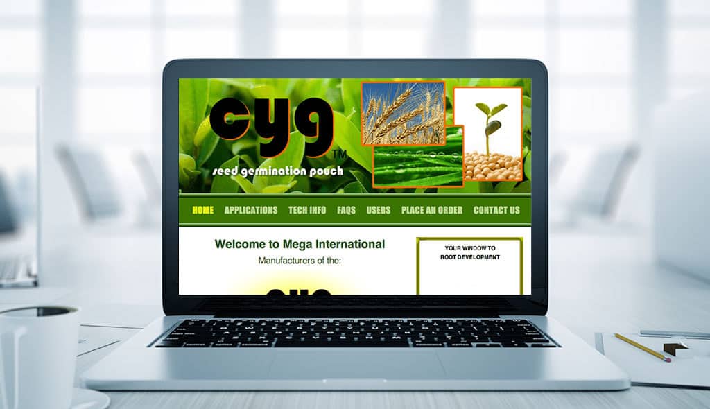 laptop displaying the home page of Mega International