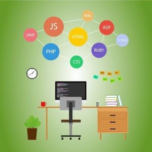 developer