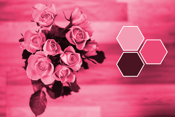 pinks_monochromatic