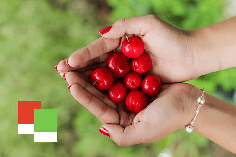 cherry and lime colors