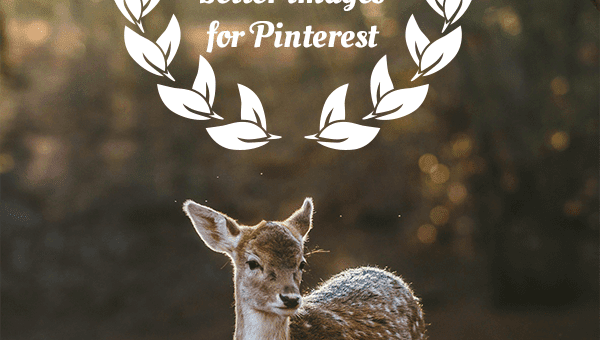 images for designing better images for pinterest