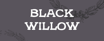 black willow font