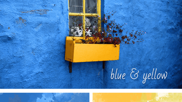 blue and yellow website inpiration