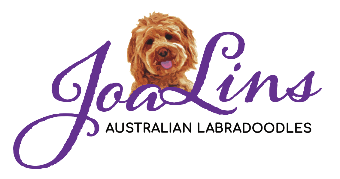 https://www.sumydesigns.com/wp-content/uploads/2018/08/joalins.png