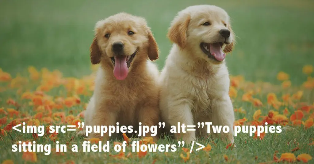 Puppies depicting how to use alt text