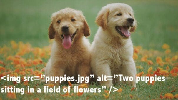 Puppies depicting how to use alt text