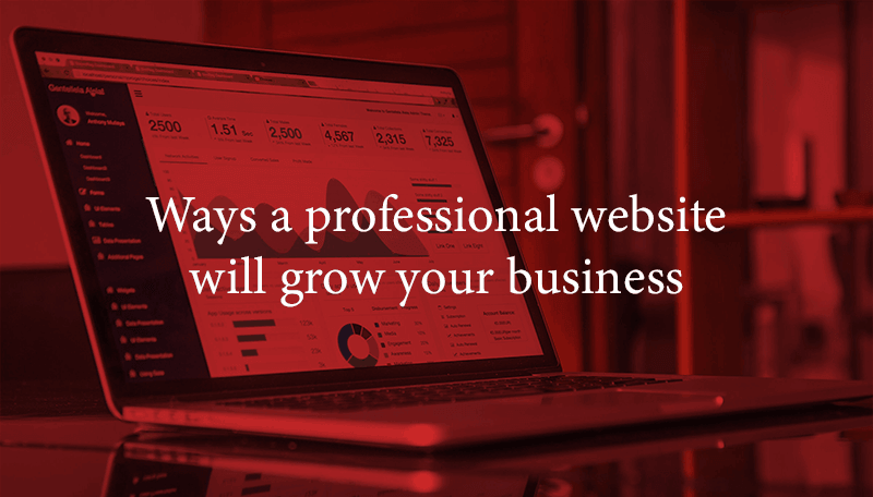Professional Website Professional Website
