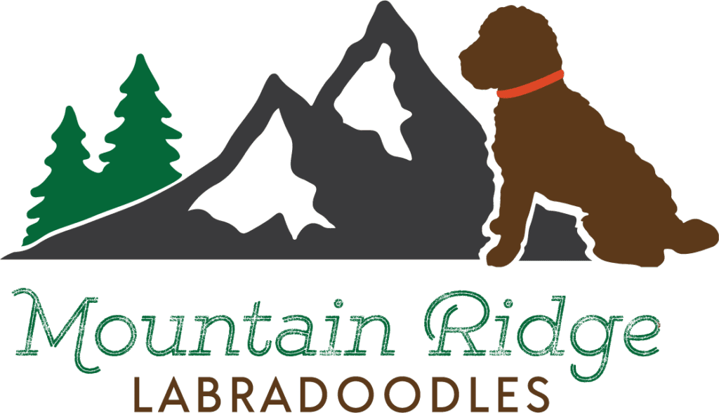 Mountain_Ridge Logo