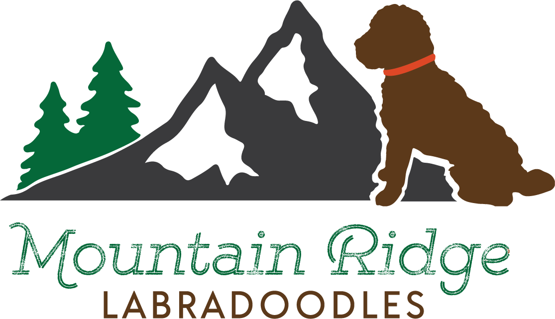 https://www.sumydesigns.com/wp-content/uploads/2020/11/Mountain_Ridge_Color@2x.png
