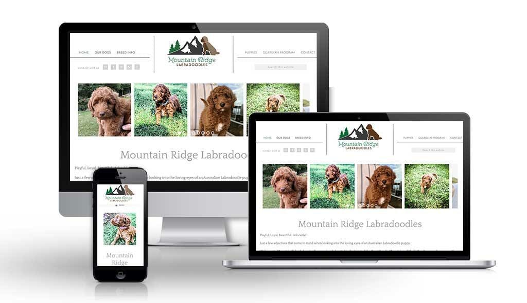 Mountain Ridge Labradoodles Website Design