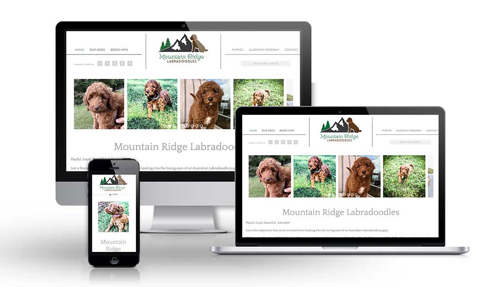 mountainridge Mountain Ridge Labradoodles Website Design