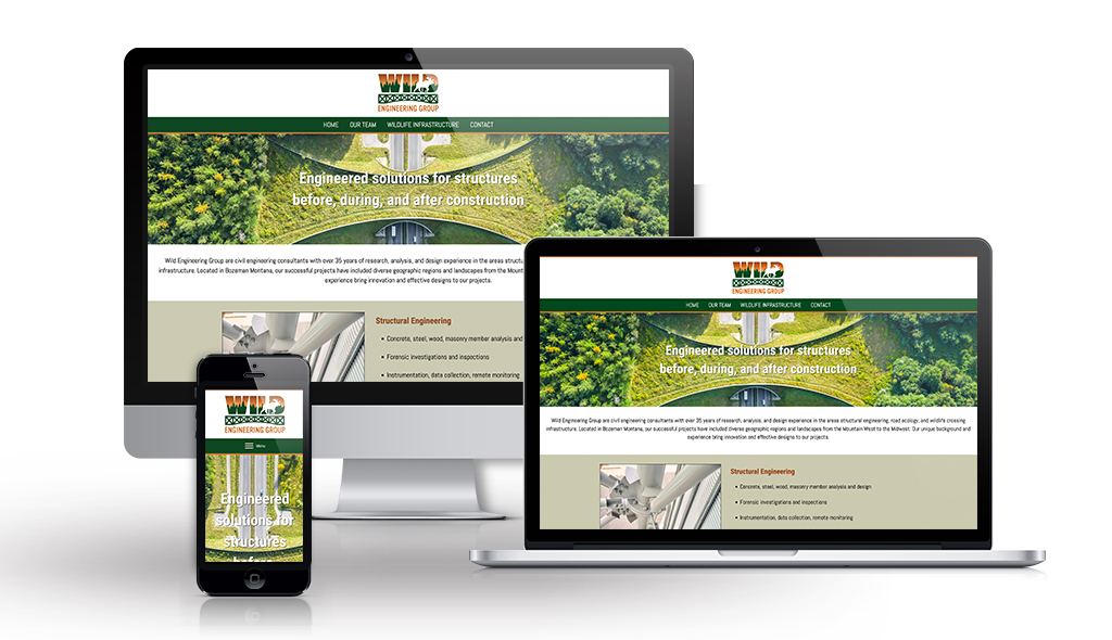 desktop, laptop, & cell phone displaying the homepage of Wild Engineers