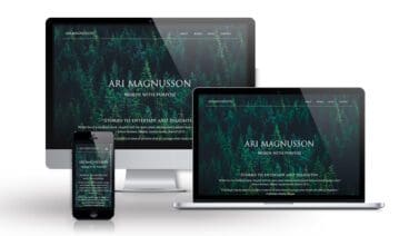 Ari Magnusson portfolio image