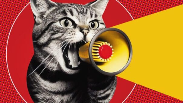 Call to Action: Kitty with a Bullhorn