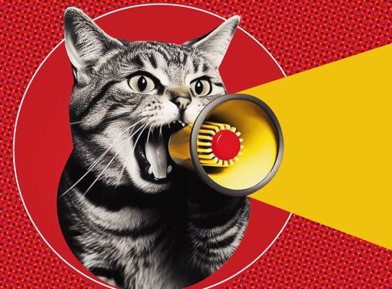 Art collage. A crazy cat with a megaphone. Promotion, action, ad Call to Action: Kitty with a Bullhorn