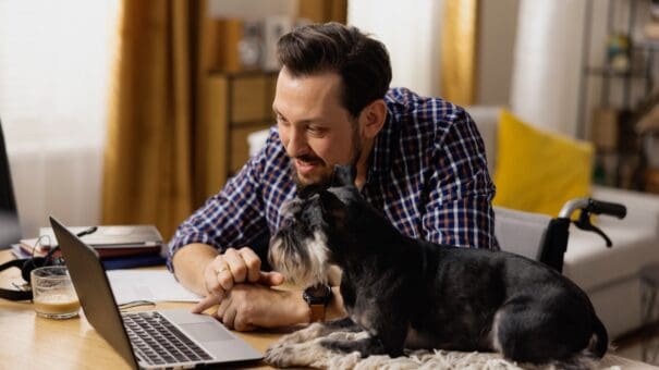 Kennel Booking System