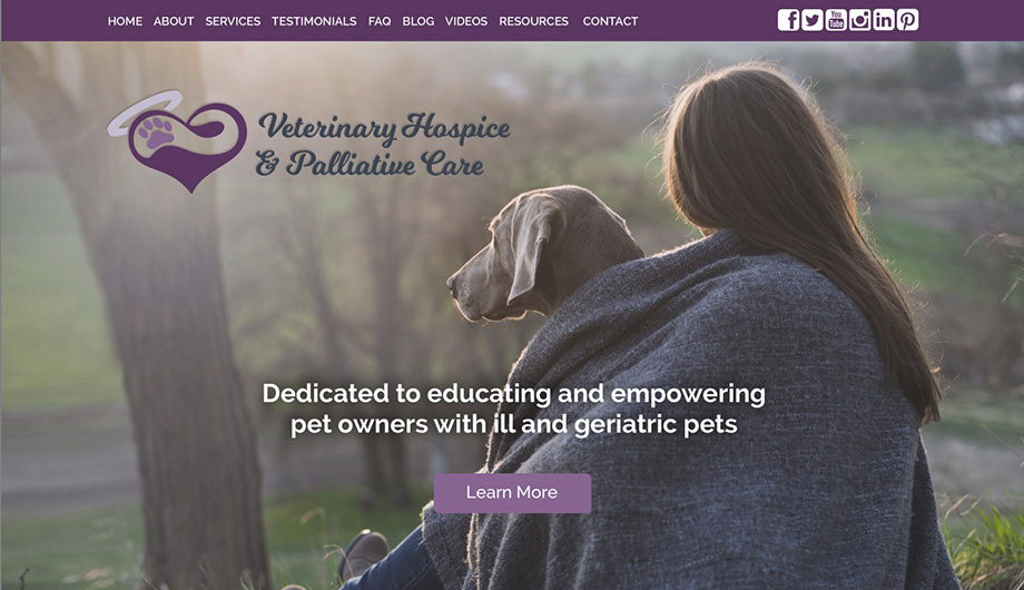Veterinary Web Design Example Veterinary Web Design Example