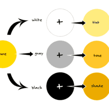 tints, tones and shades