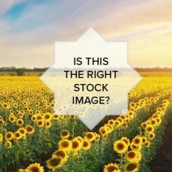 choosing-the-right-stock-image choosing the right image