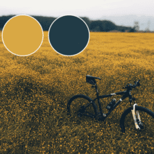 color1