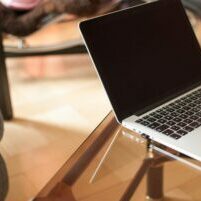 Website Accessibility