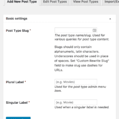Custom Post Types