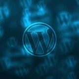 custom wordpress design service