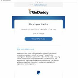 Domain Scam