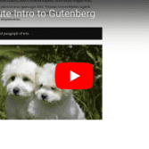 Gutenberg Tutorial Video