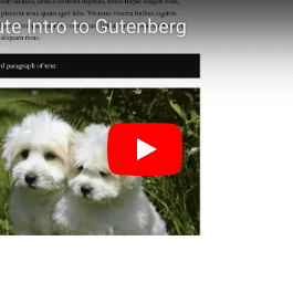gutenberg-tutorial Gutenberg Tutorial Video