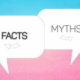 Web Design Myths and Facts