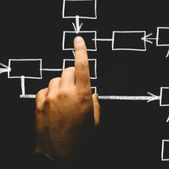 organize Organize Your Content