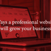 Professional Website