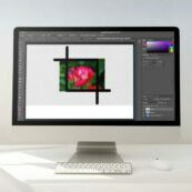 Tips for better photos