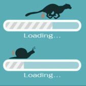 speed