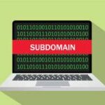 Subdomain