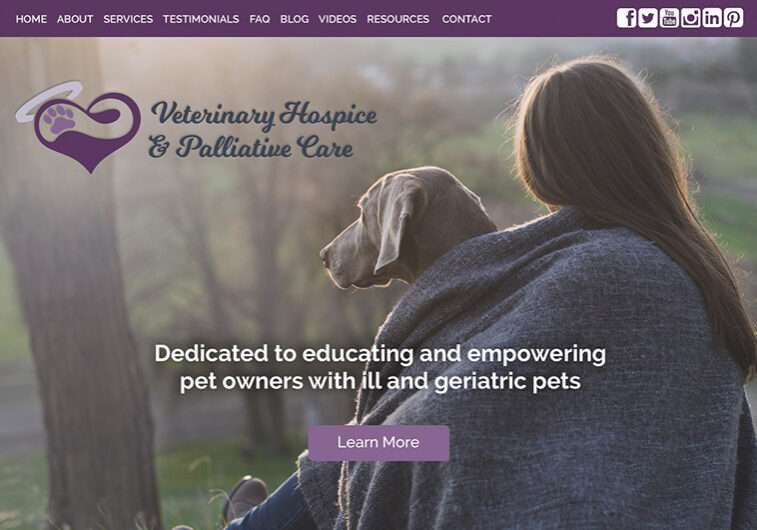 Veterinary Web Design Example Veterinary Web Design Example