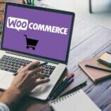 adding payments to WooCommerce on wordpress