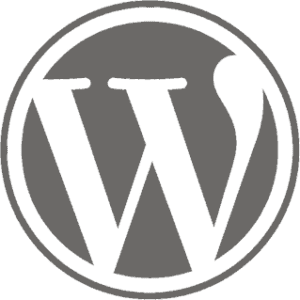 Custom Website WordPress Development