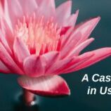 Case Study in Usability